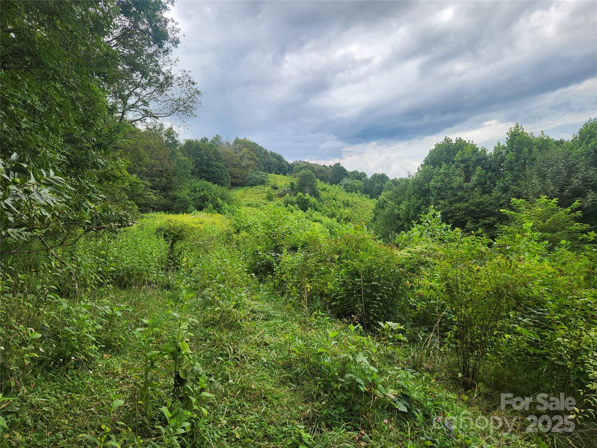 1925 S Fork Road Marshall NC 28753