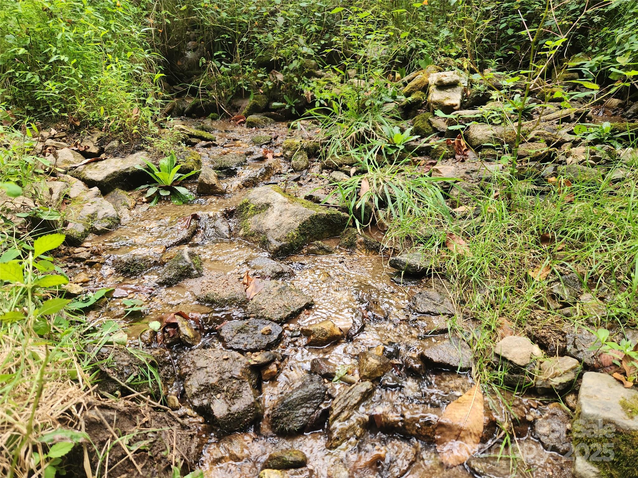 1925 S Fork Road Marshall NC 28753