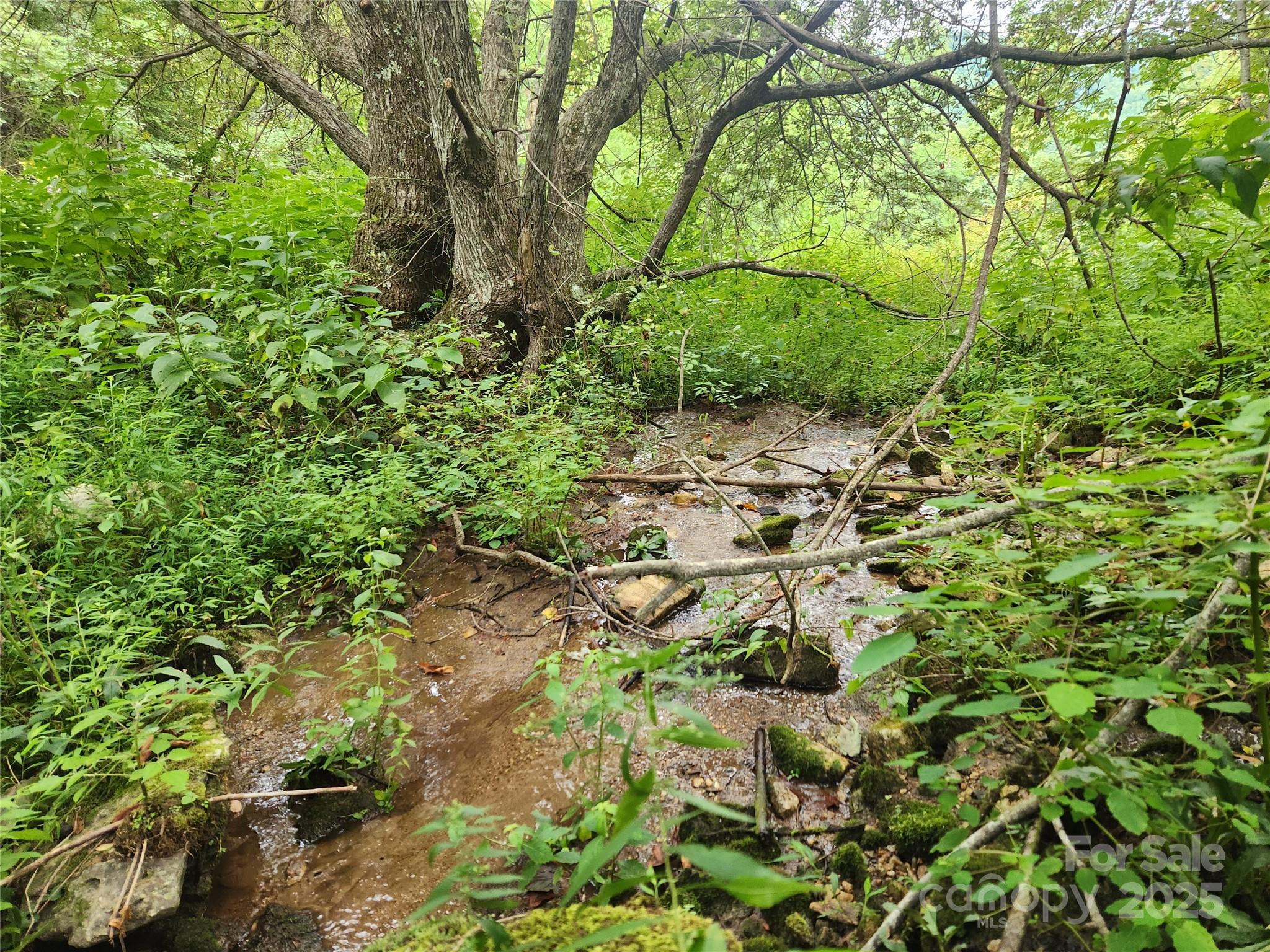1925 S Fork Road Marshall NC 28753