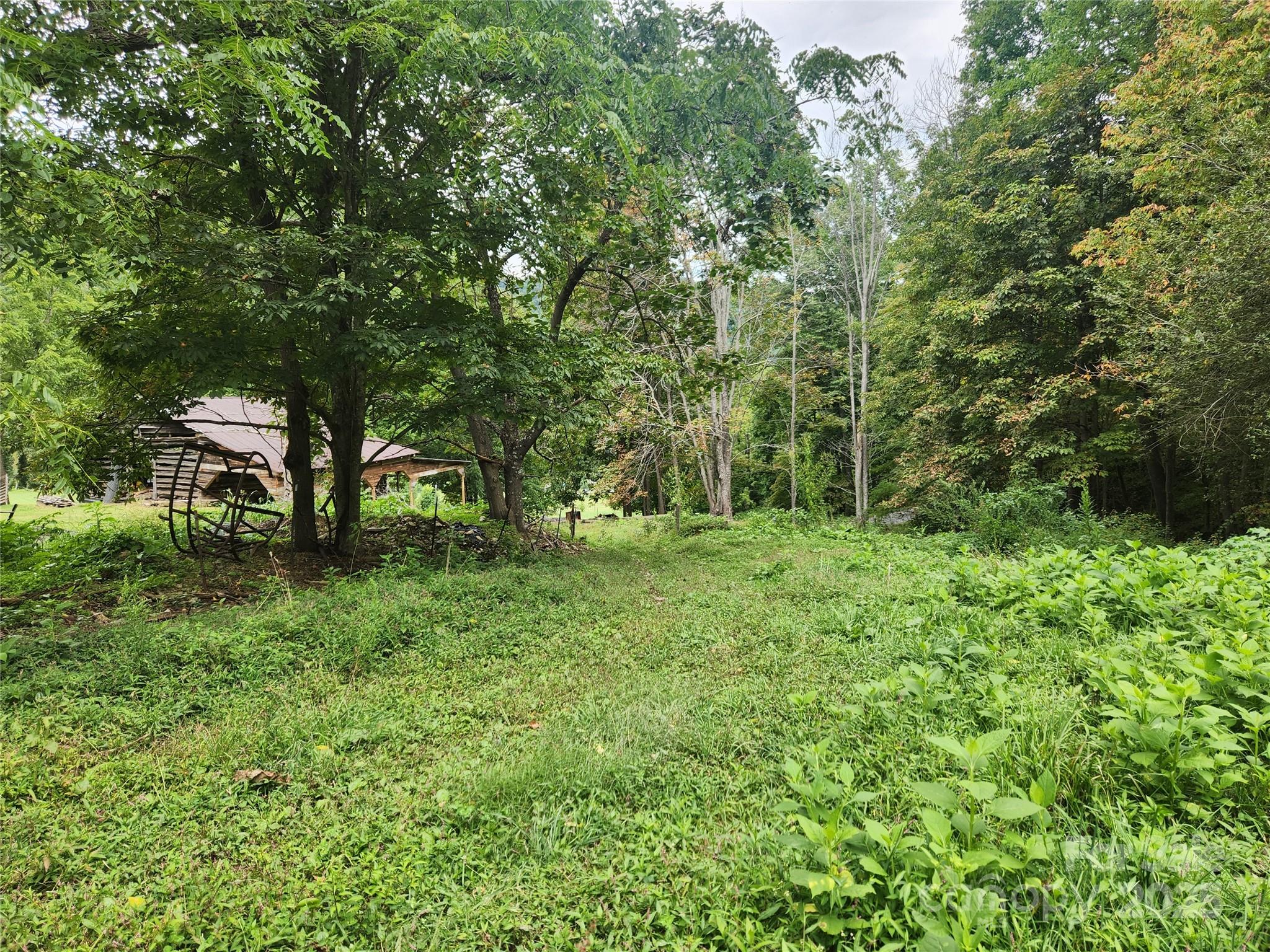 1925 S Fork Road Marshall NC 28753