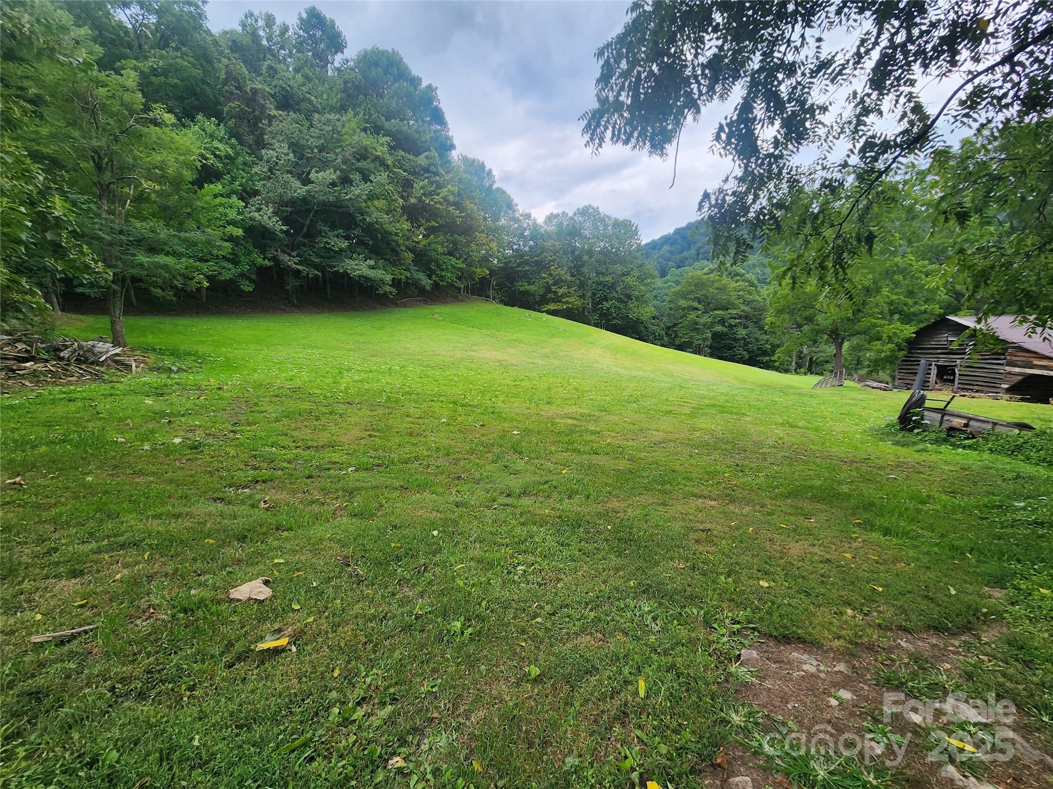 1925 S Fork Road Marshall NC 28753