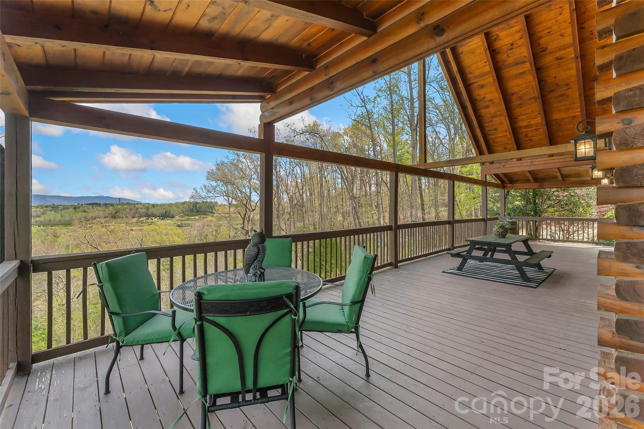 295 Outback Trail Nebo NC 28761
