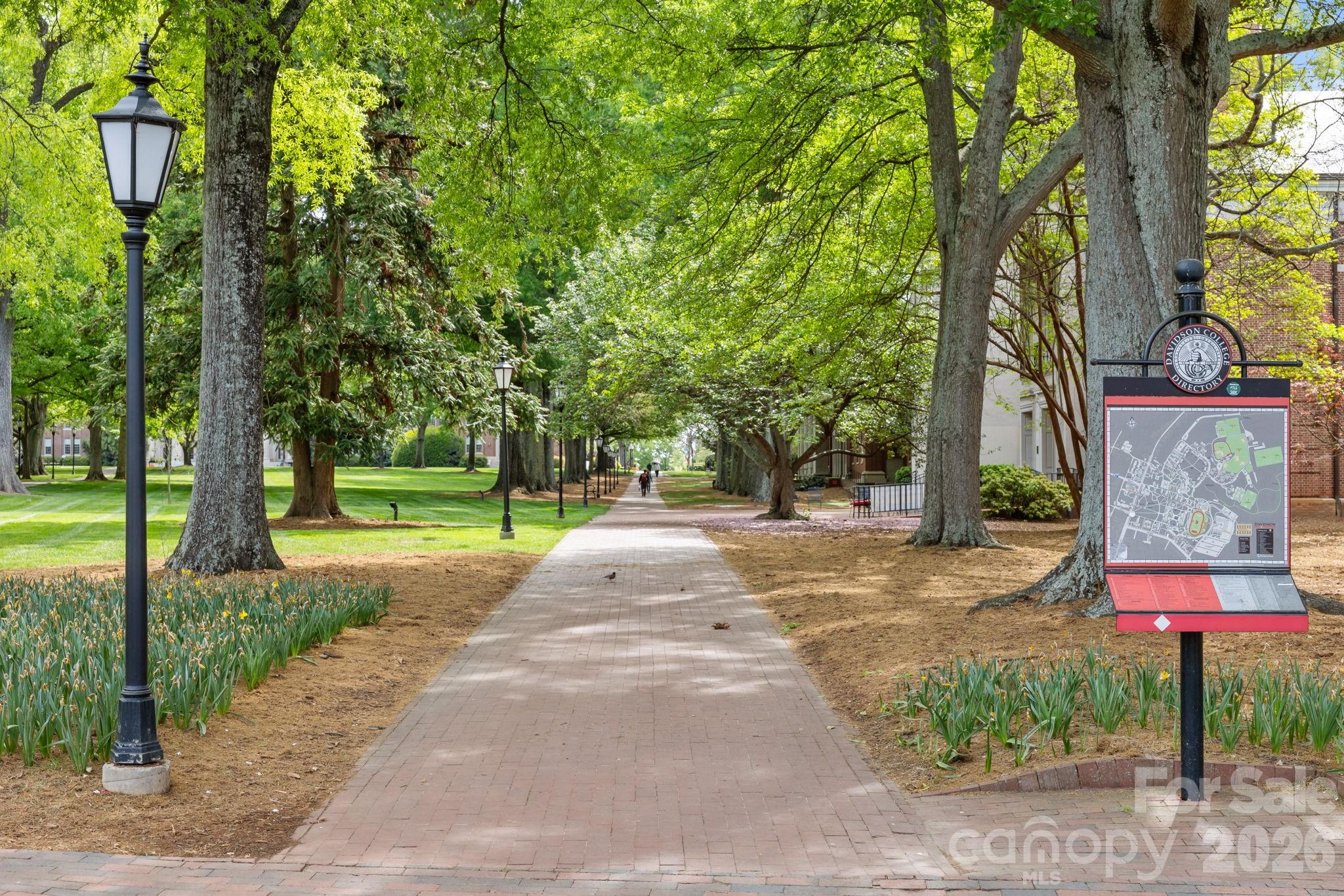 138 Woodland Street Davidson NC 28036