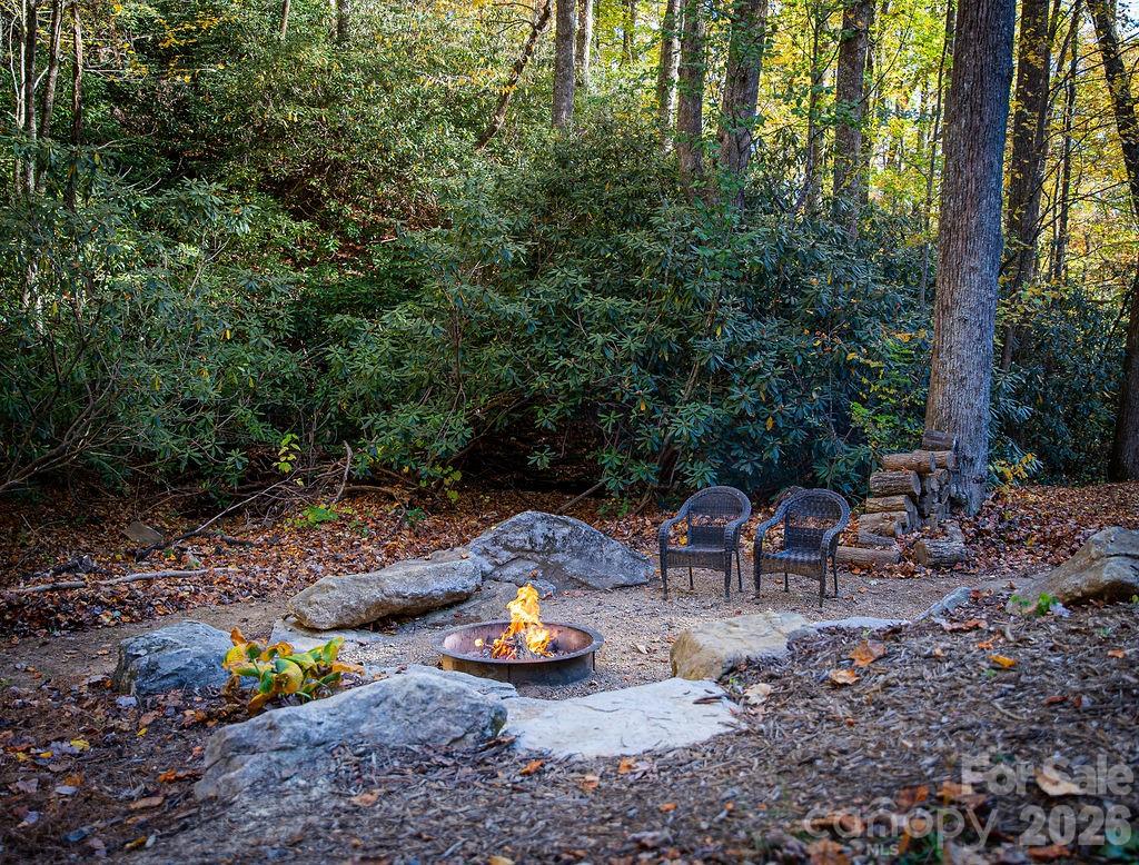 808 Mountain Cove Road Hendersonville NC 28792