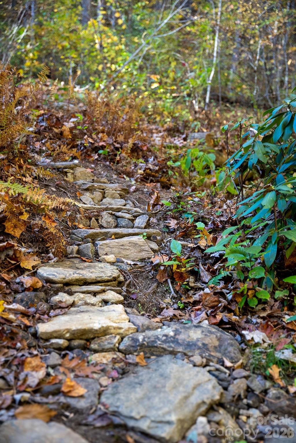 808 Mountain Cove Road Hendersonville NC 28792