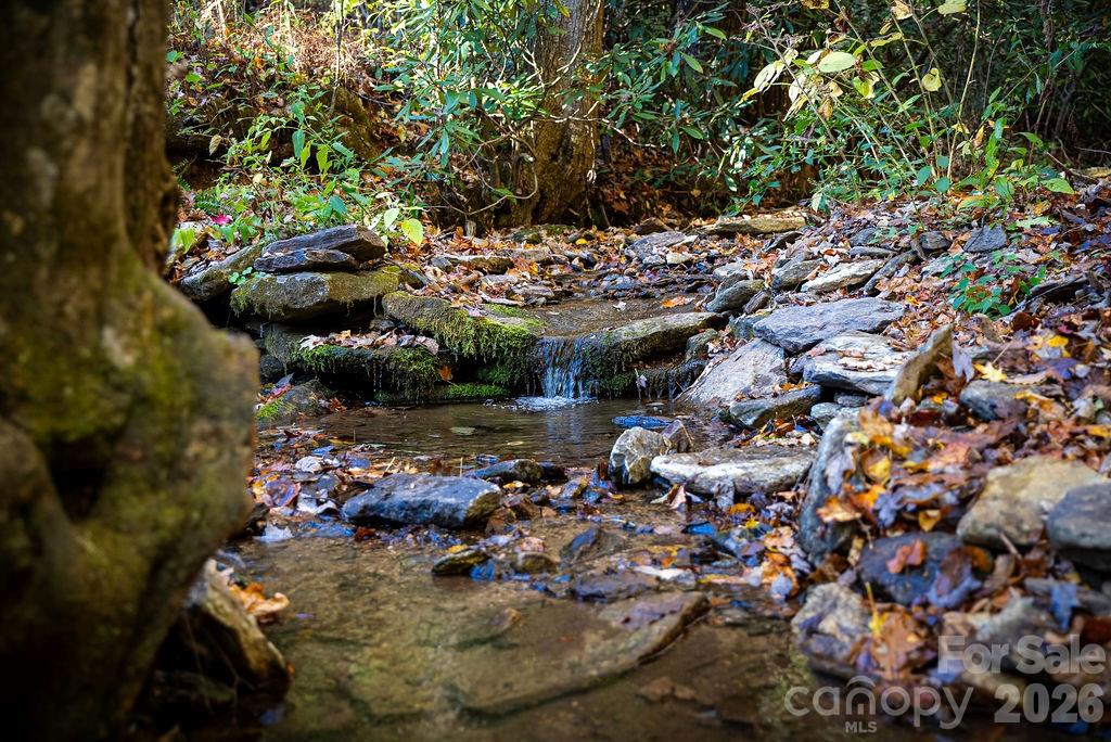 808 Mountain Cove Road Hendersonville NC 28792