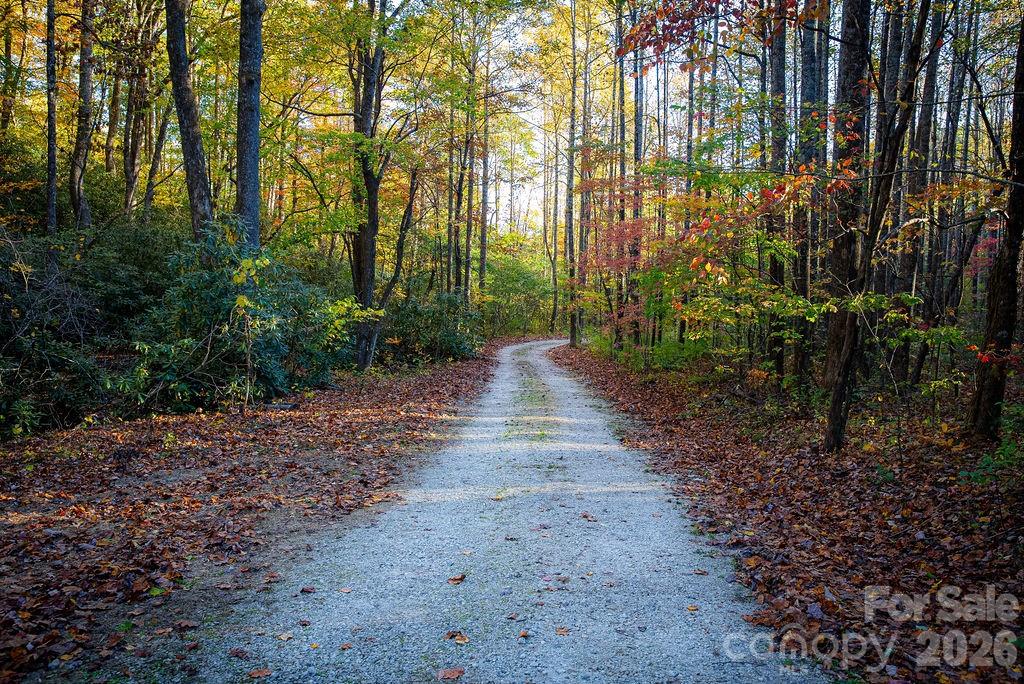808 Mountain Cove Road Hendersonville NC 28792