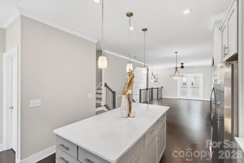 15036 New Amsterdam Lane Charlotte NC 28204
