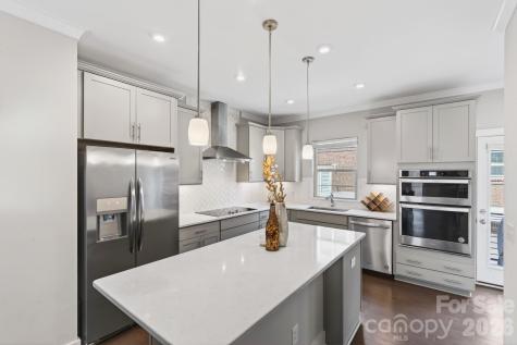 15036 New Amsterdam Lane Charlotte NC 28204