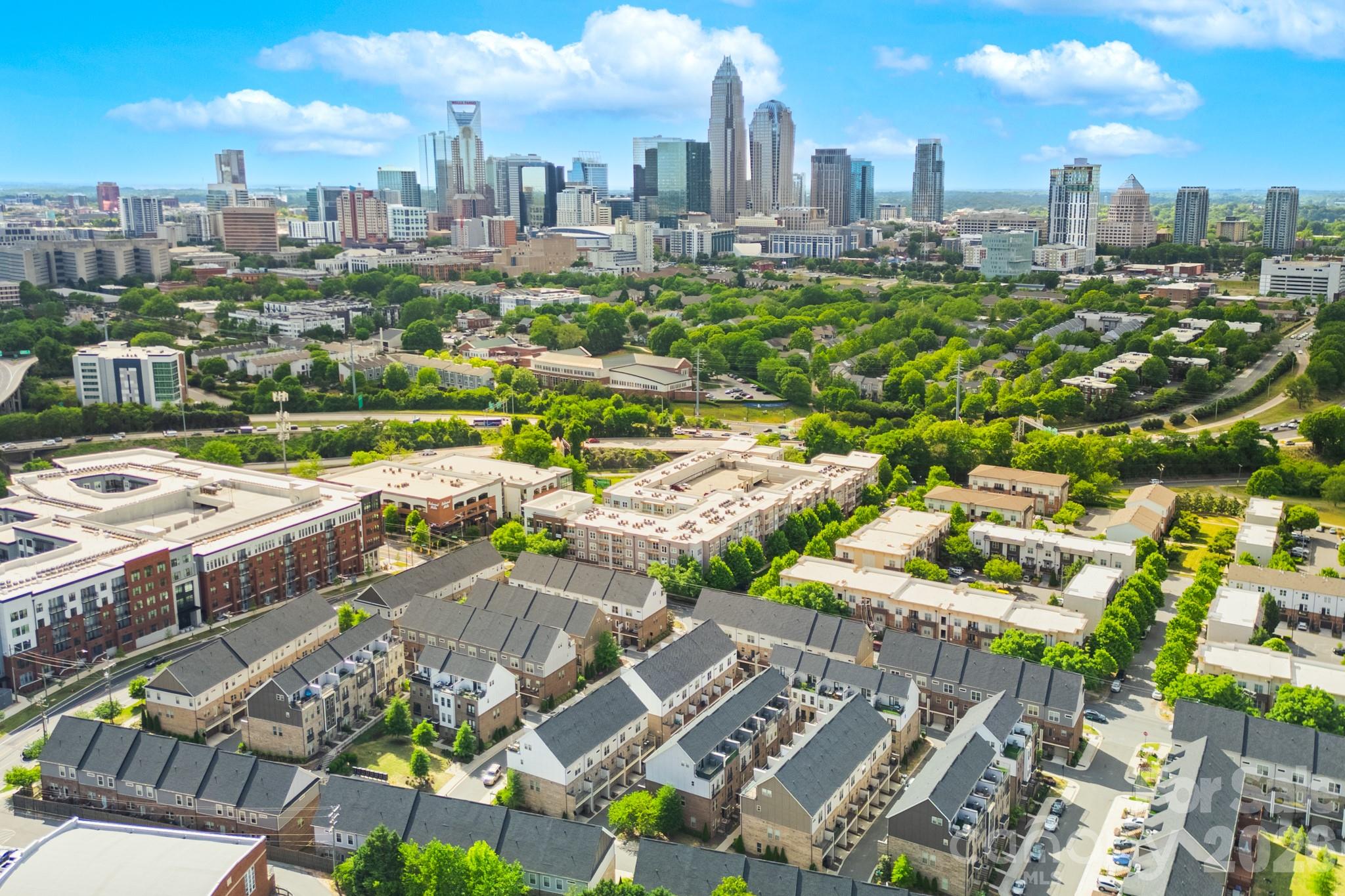 15036 New Amsterdam Lane Charlotte NC 28204