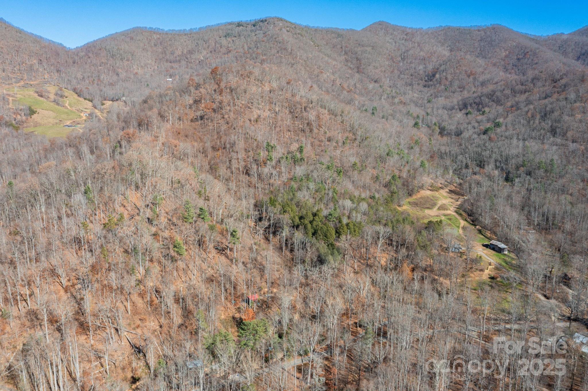 000 Cook Cove Road Weaverville NC 28787