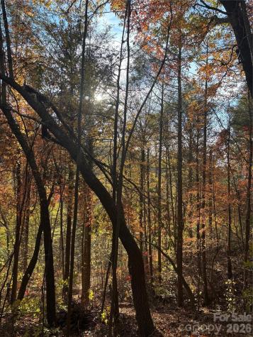 000 Cook Cove Road Weaverville NC 28787