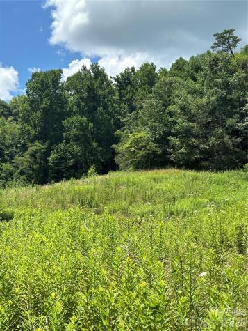 000 Cook Cove Road Weaverville NC 28787