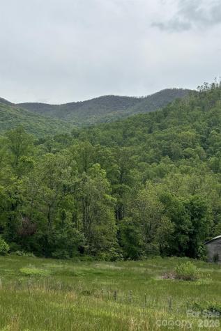 000 Cook Cove Road Weaverville NC 28787