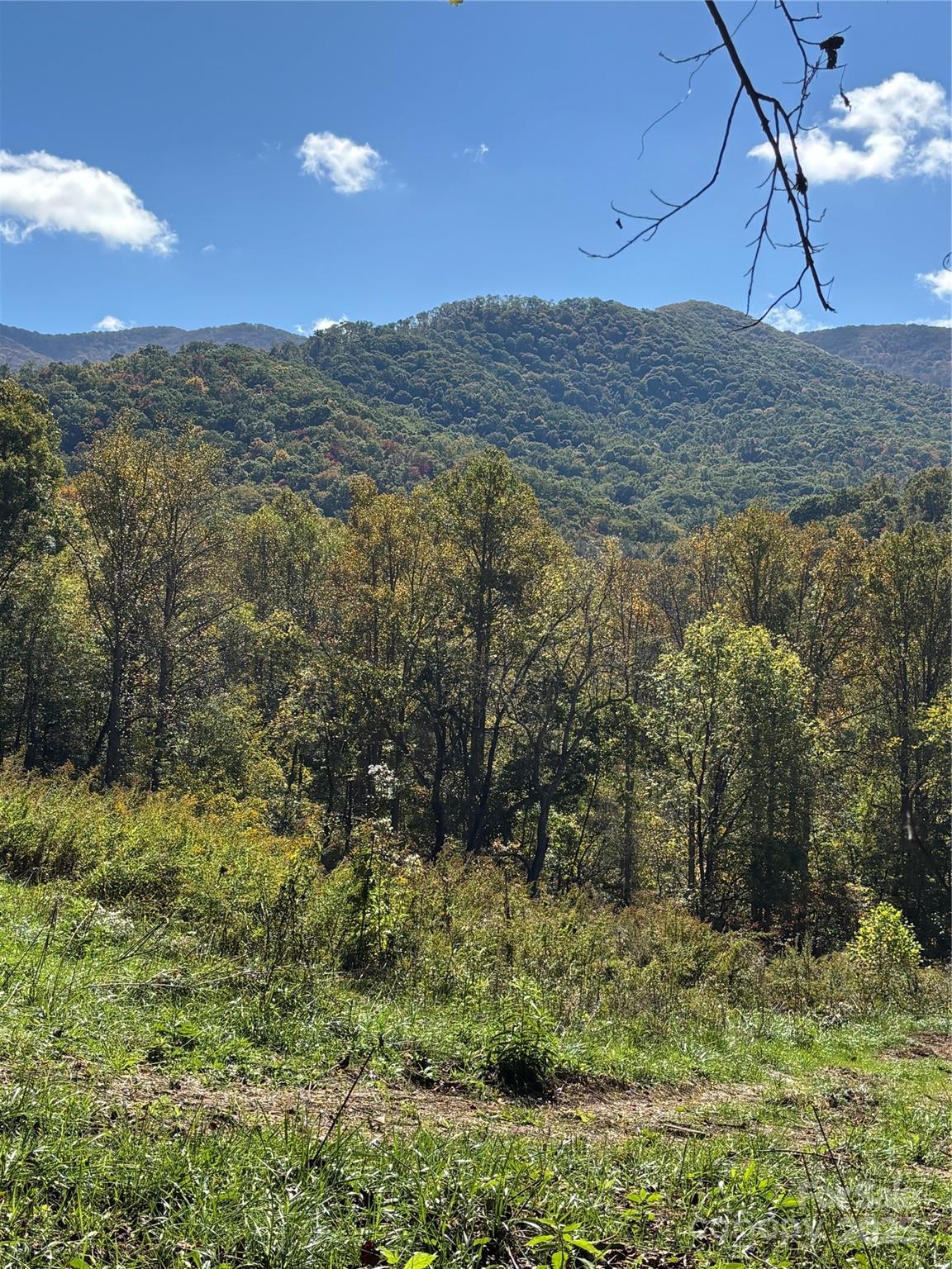 000 Cook Cove Road Weaverville NC 28787