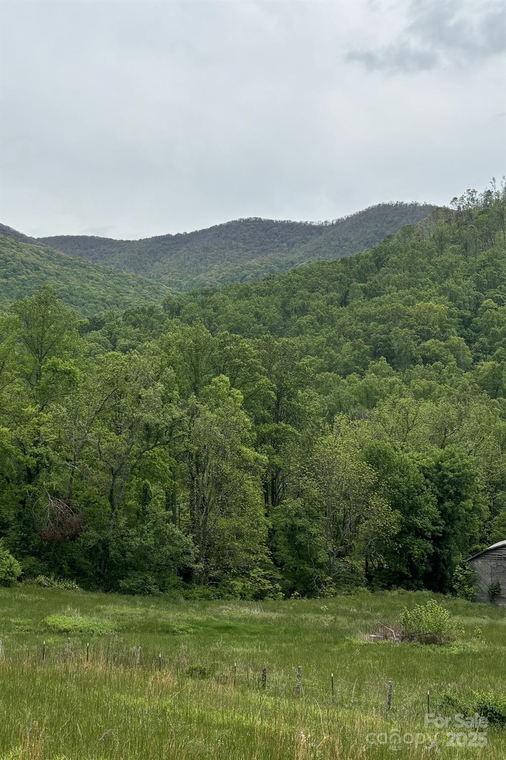 000 Cook Cove Road Weaverville NC 28787