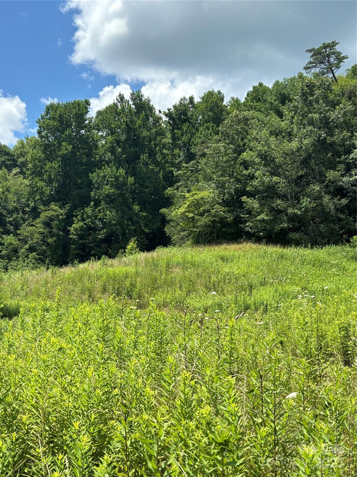 000 Cook Cove Road Weaverville NC 28787