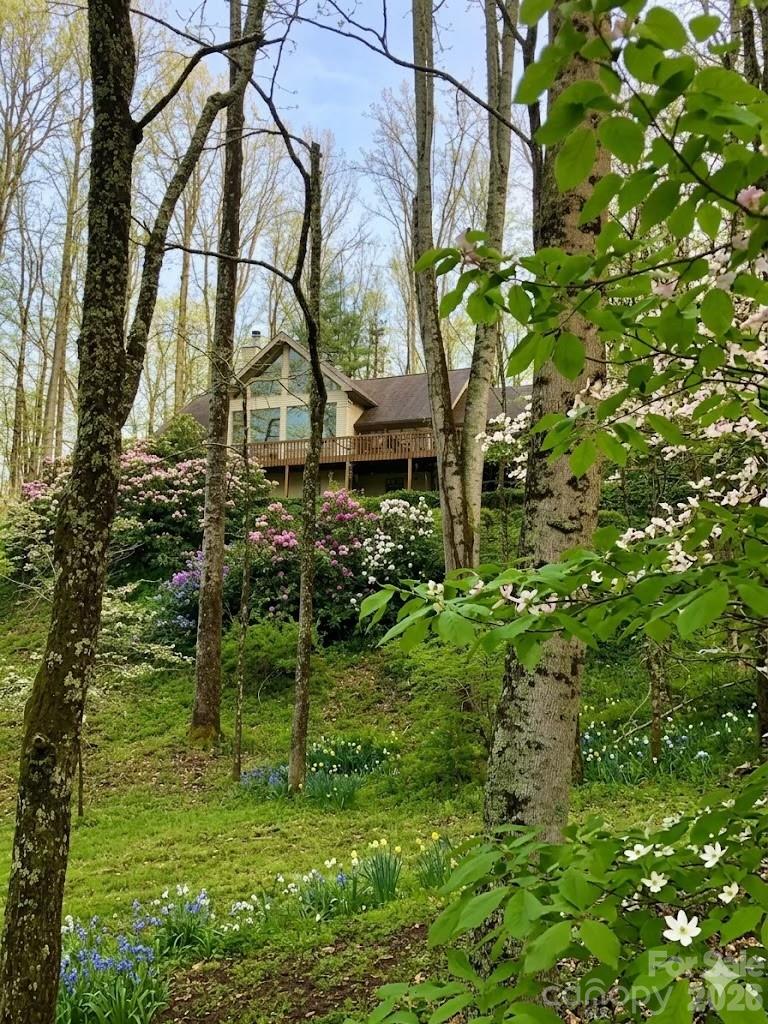 1551 Walnut Creek Road Waynesville NC 28786