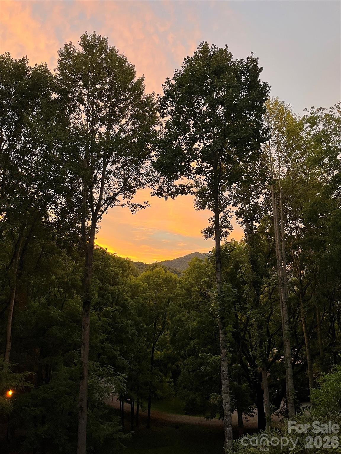 1551 Walnut Creek Road Waynesville NC 28786