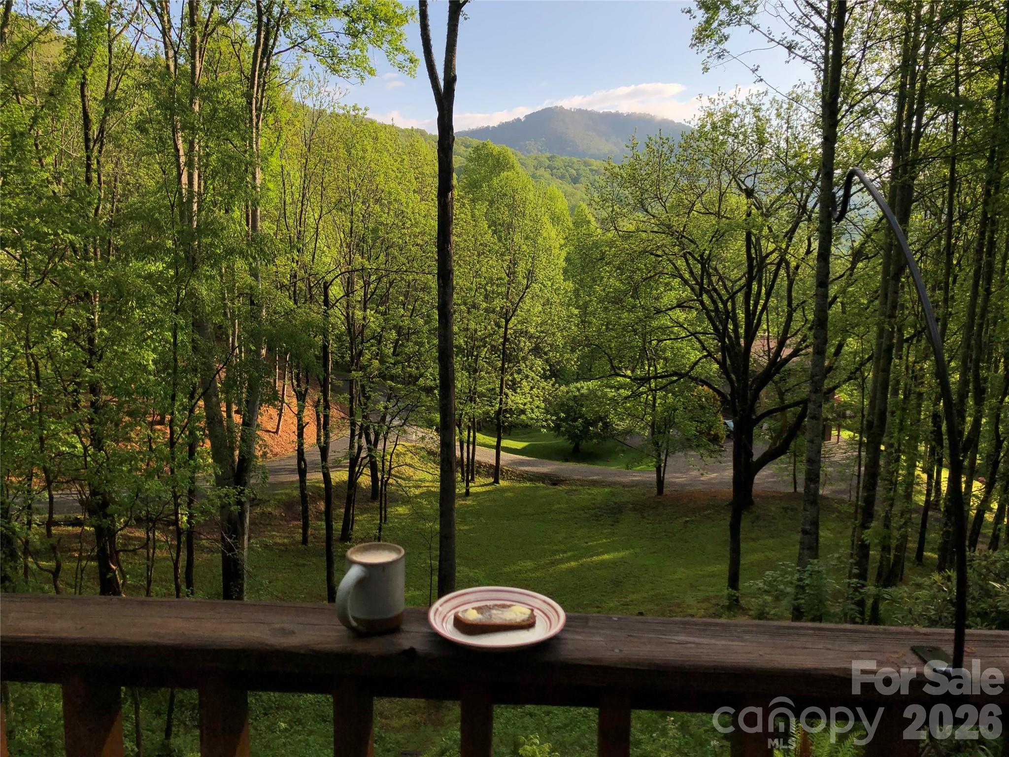 1551 Walnut Creek Road Waynesville NC 28786