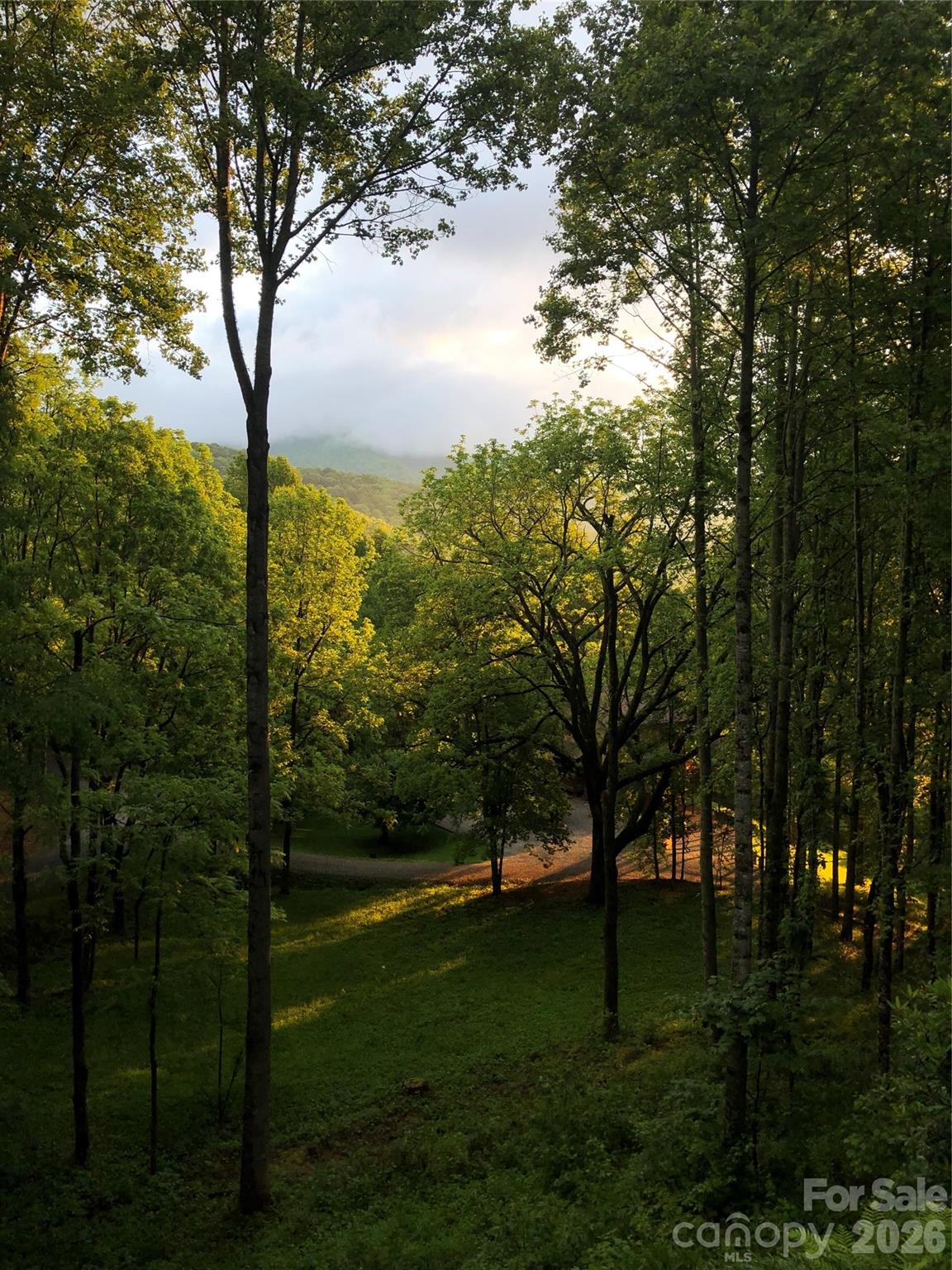 1551 Walnut Creek Road Waynesville NC 28786