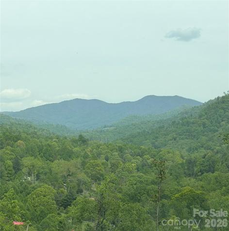 1306 Fork Mountain Road Bakersville NC 28705