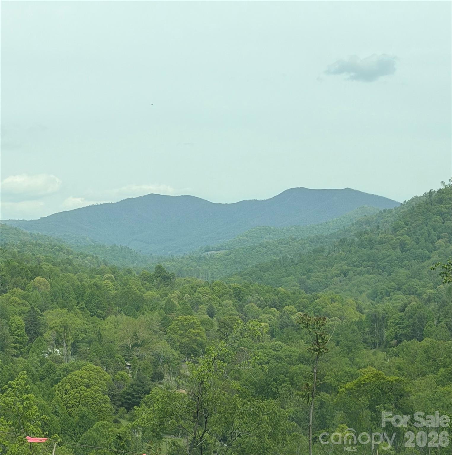 1306 Fork Mountain Road Bakersville NC 28705