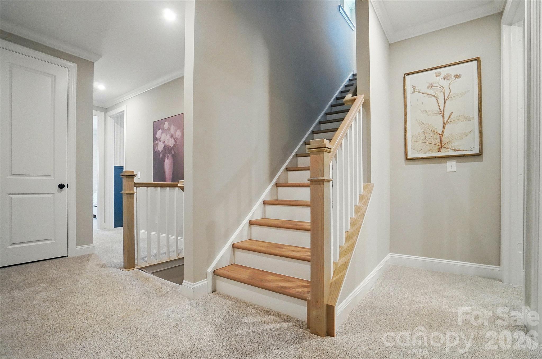 12019 Lavinia Lane Charlotte NC 28277