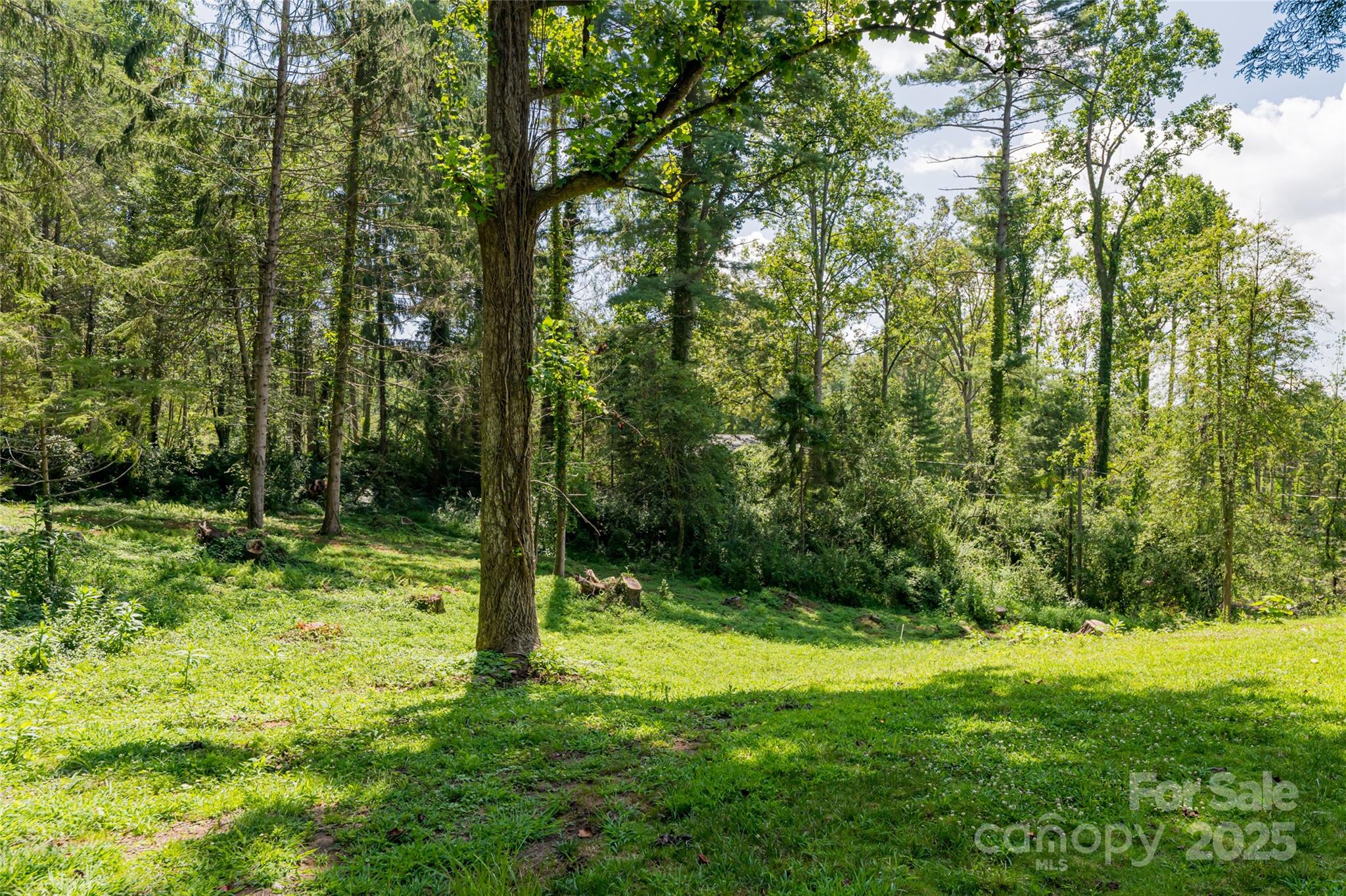 426 Vanderbilt Road Asheville NC 28803