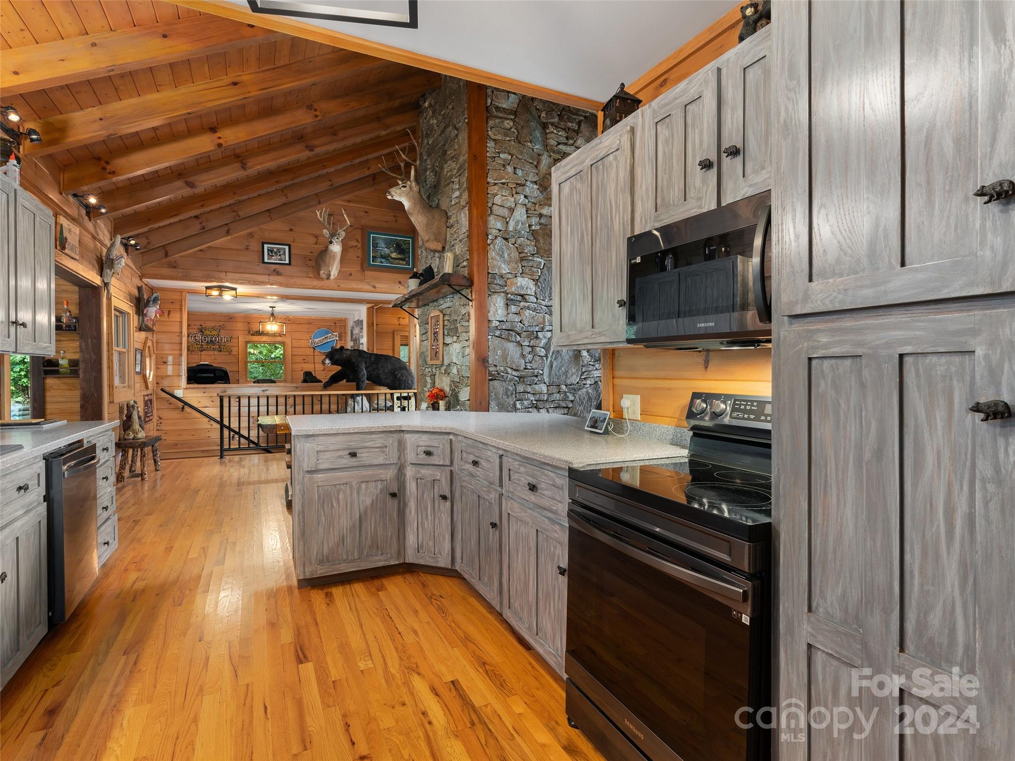 80 Austins Trail Canton NC 28716