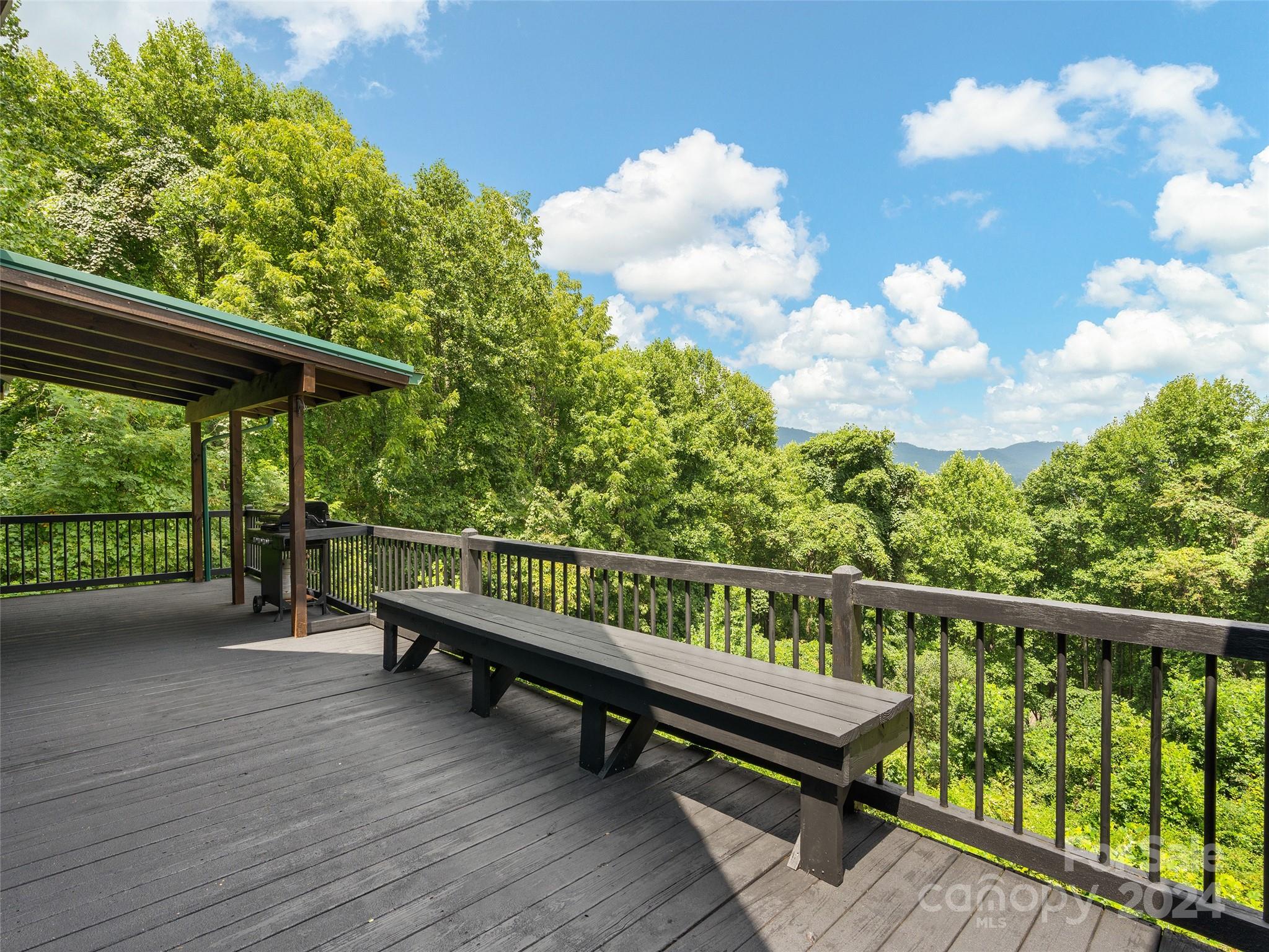 80 Austins Trail Canton NC 28716