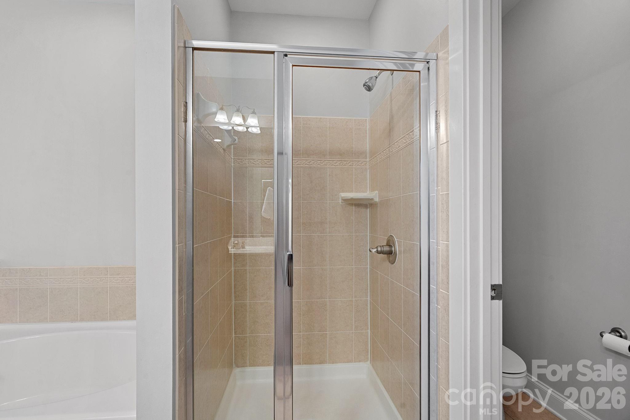 176 Water Oak Drive Mooresville NC 28117