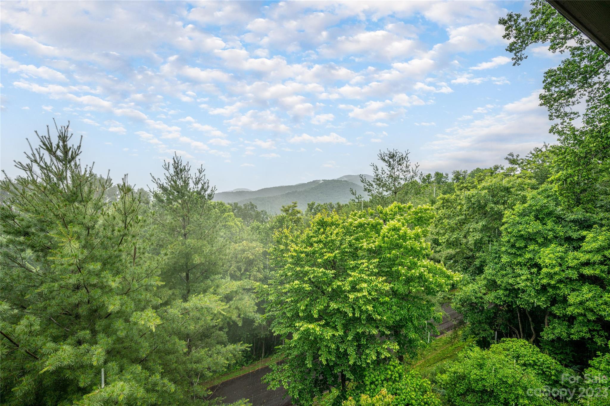 121 Fortress Ridge Weaverville NC 28787