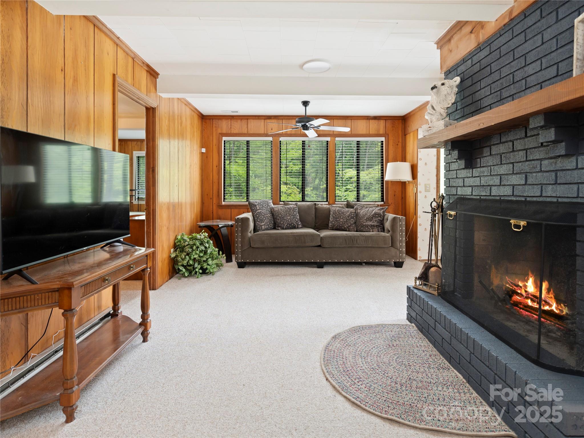218 Mcguffey Ridge Road Gerton NC 28735