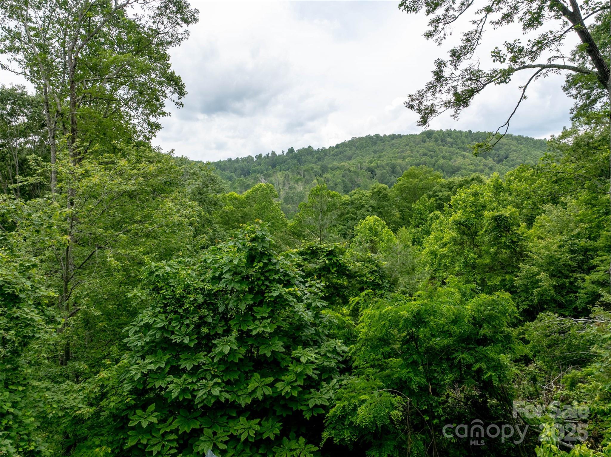 218 Mcguffey Ridge Road Gerton NC 28735