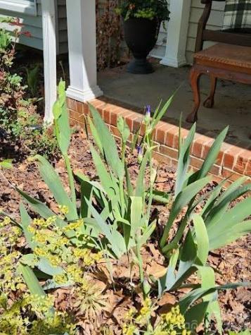 17 Marlwood Court Asheville NC 28804