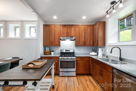 29 Shady Park Lane Asheville NC 28804