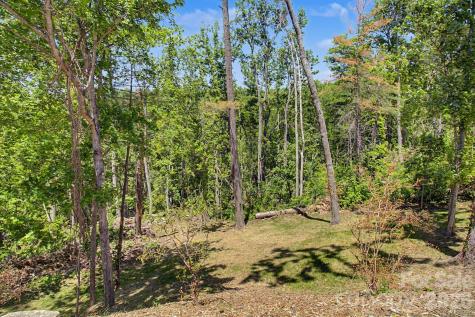 5 Kent Place Asheville NC 28804