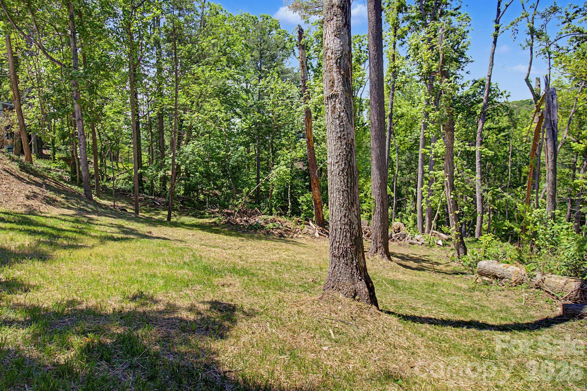 5 Kent Place Asheville NC 28804
