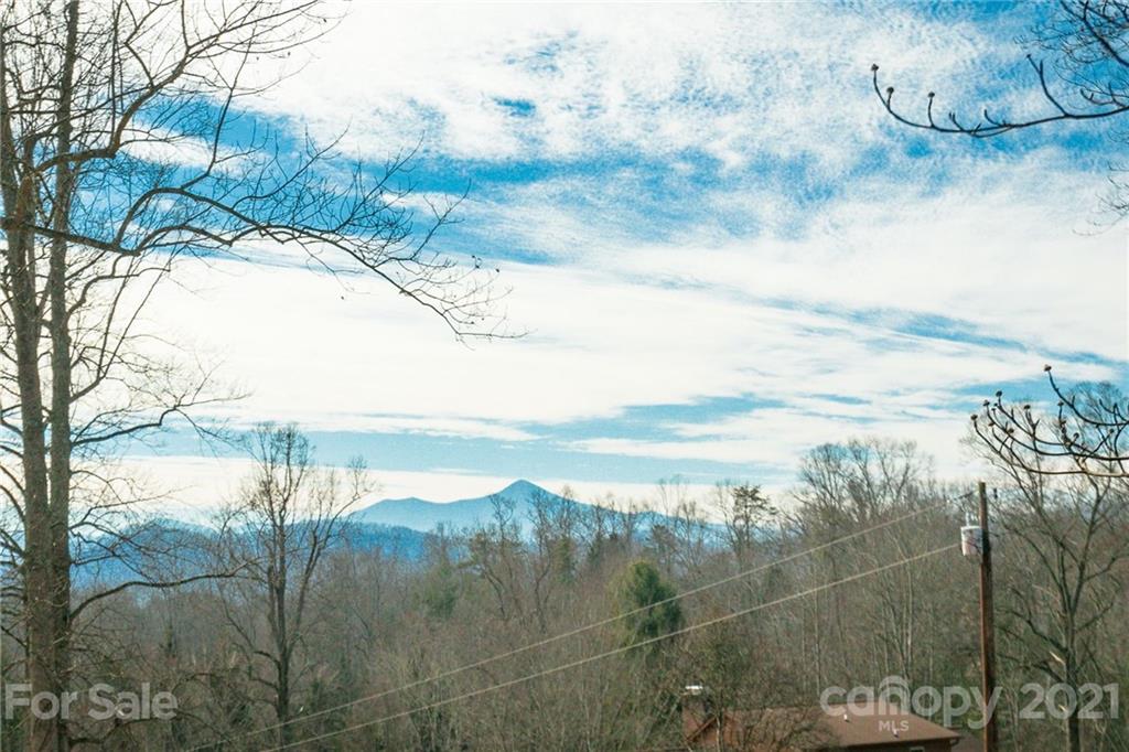 355 Poplar Drive Candler NC 28715
