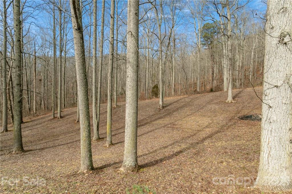 355 Poplar Drive Candler NC 28715