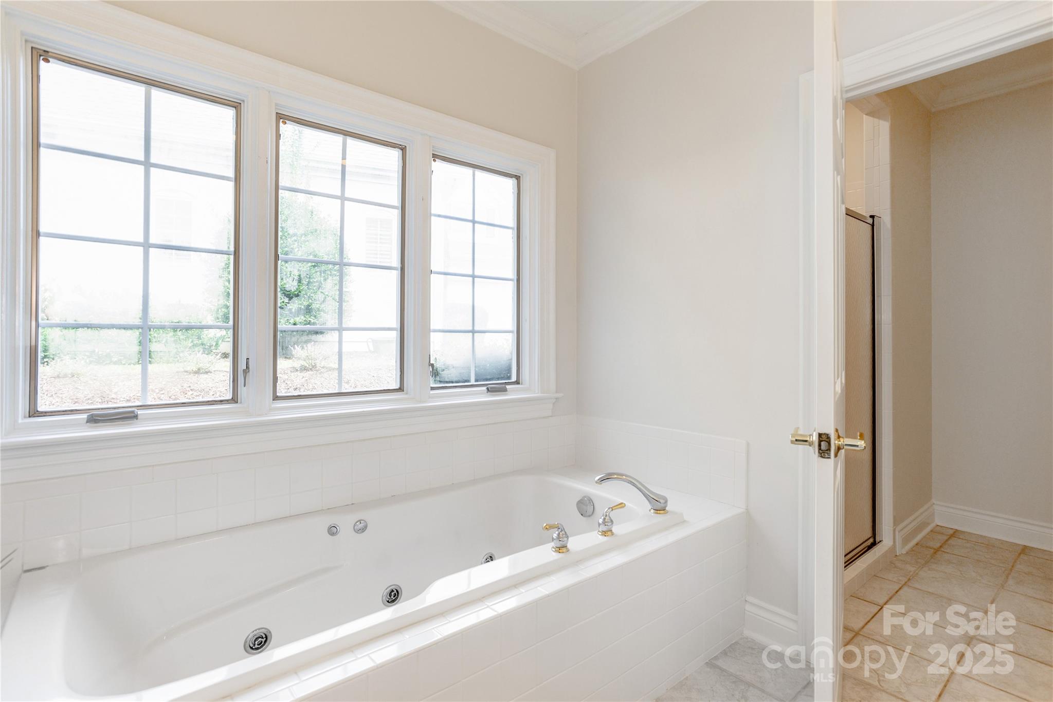 29 Bideford Row Asheville NC 28803