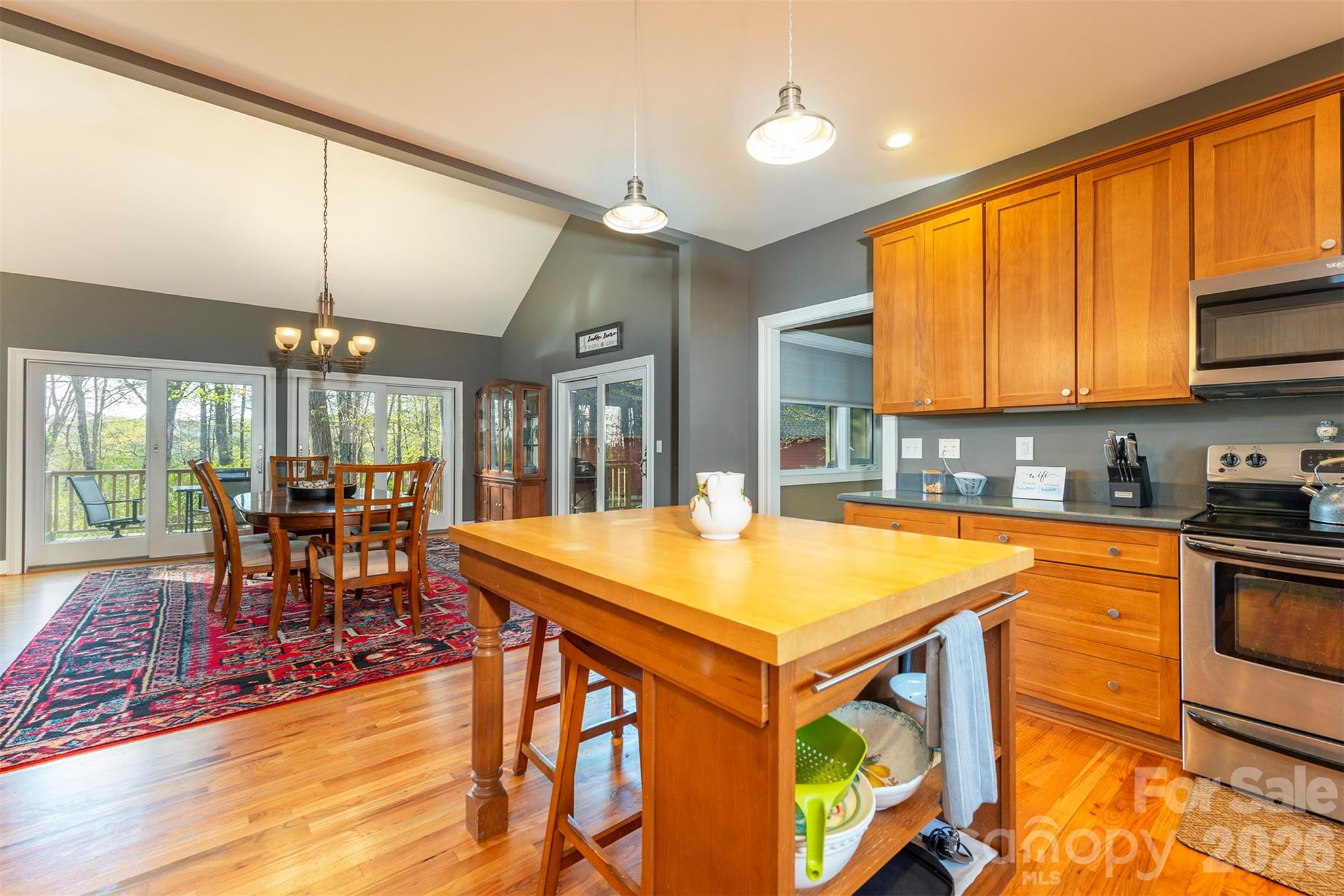 171 Wilson Court Lake Lure NC 28746
