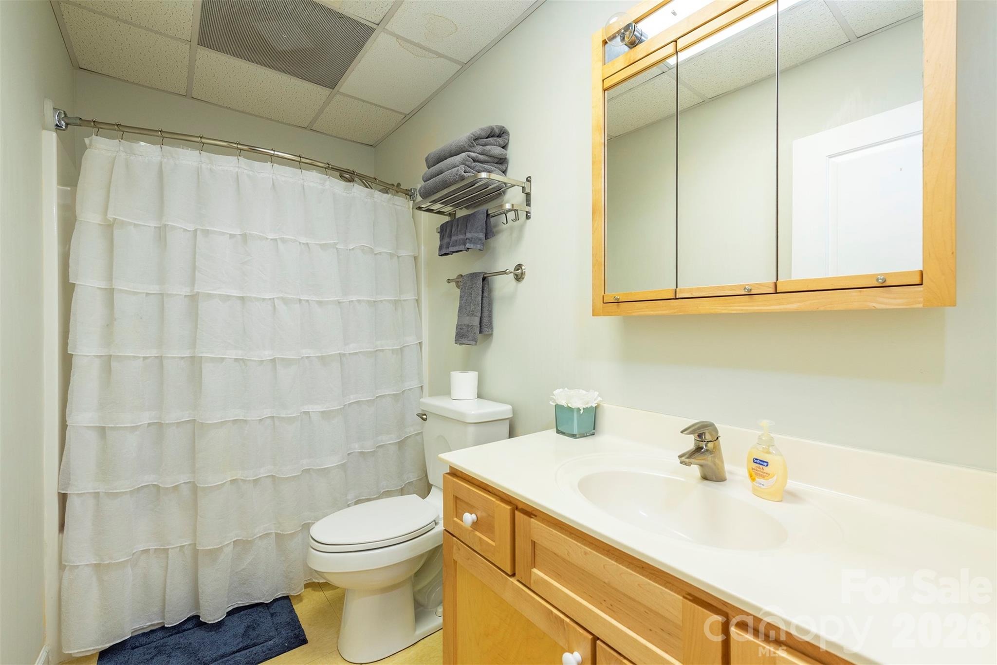 171 Wilson Court Lake Lure NC 28746