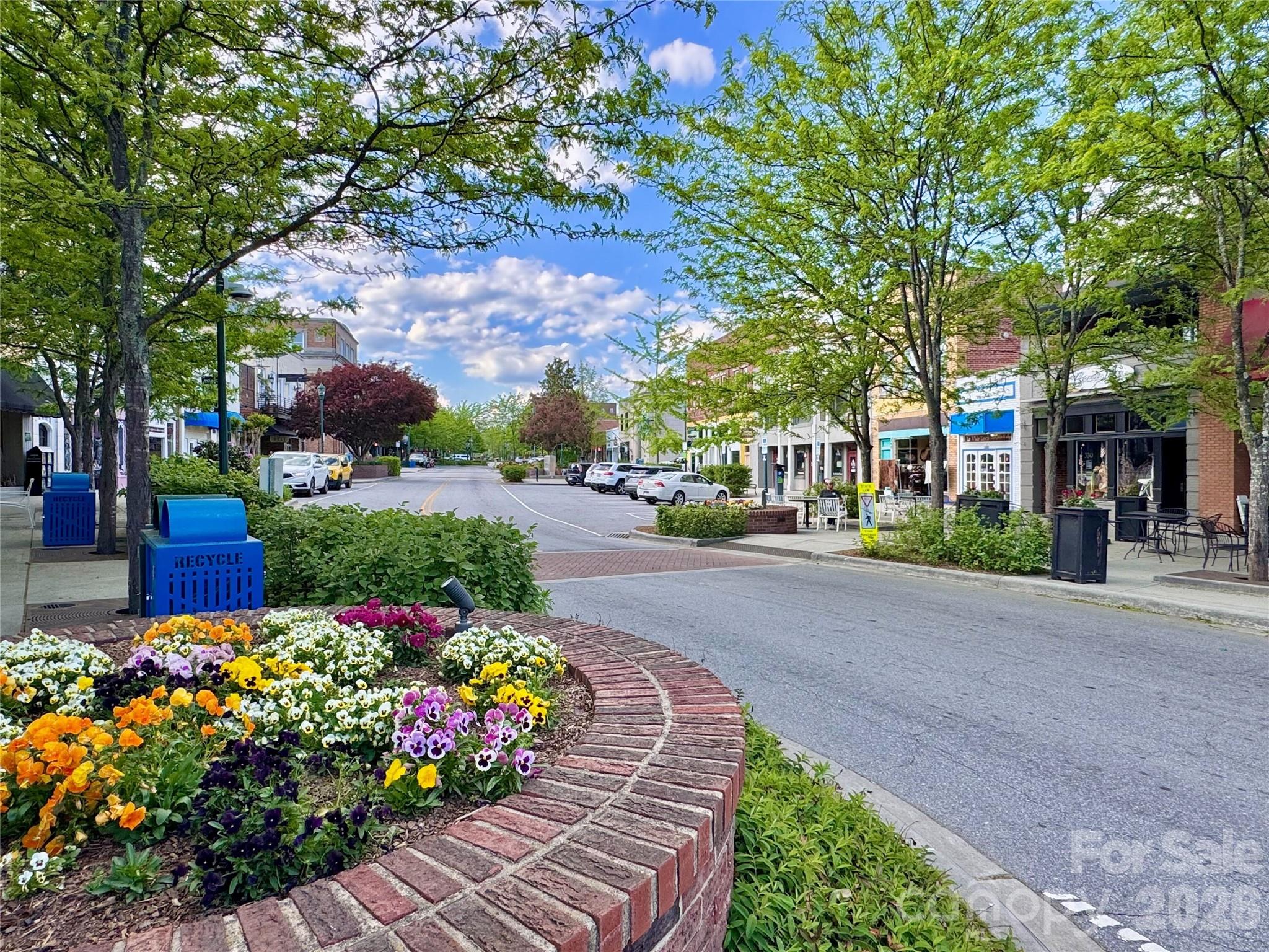 615 W Allen Street Hendersonville NC 28739
