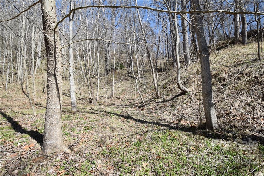 673 John Sparks Road Bakersville NC 28705
