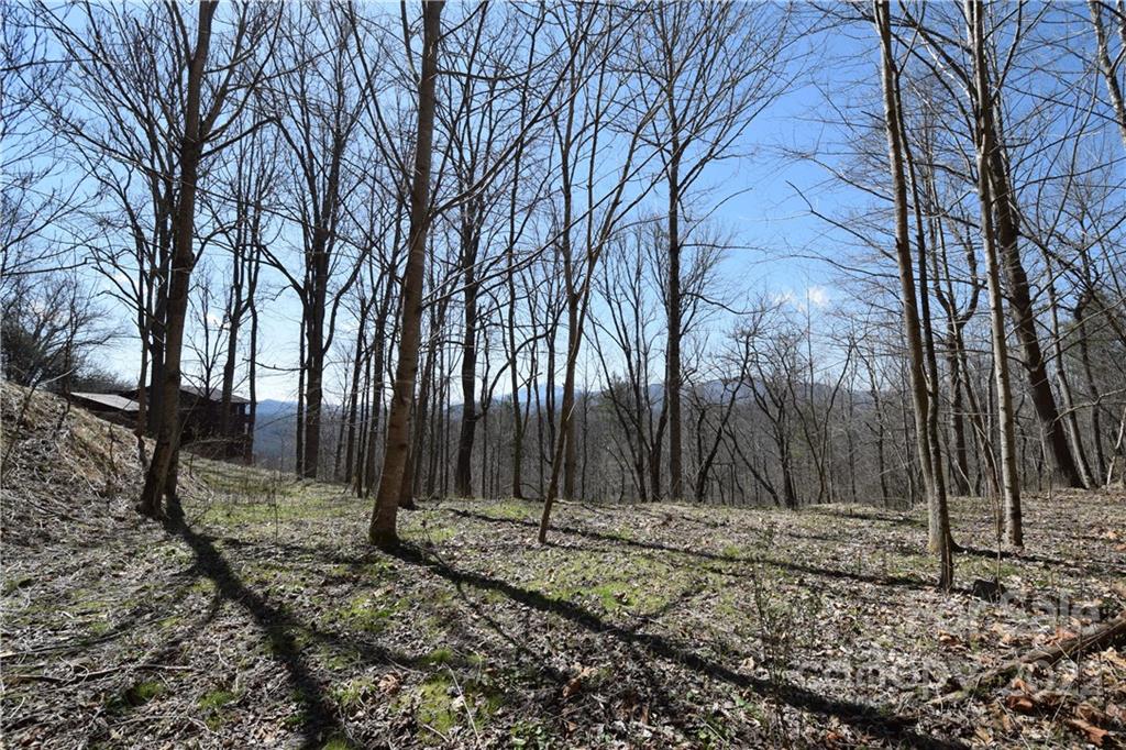 673 John Sparks Road Bakersville NC 28705