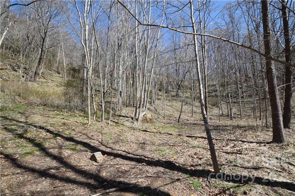 673 John Sparks Road Bakersville NC 28705