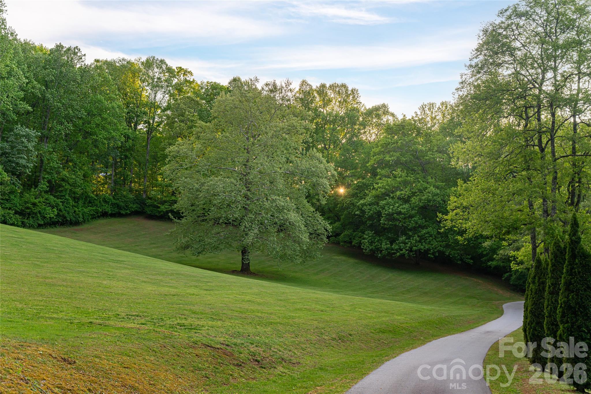 3903 Island Ford Road Brevard NC 28712