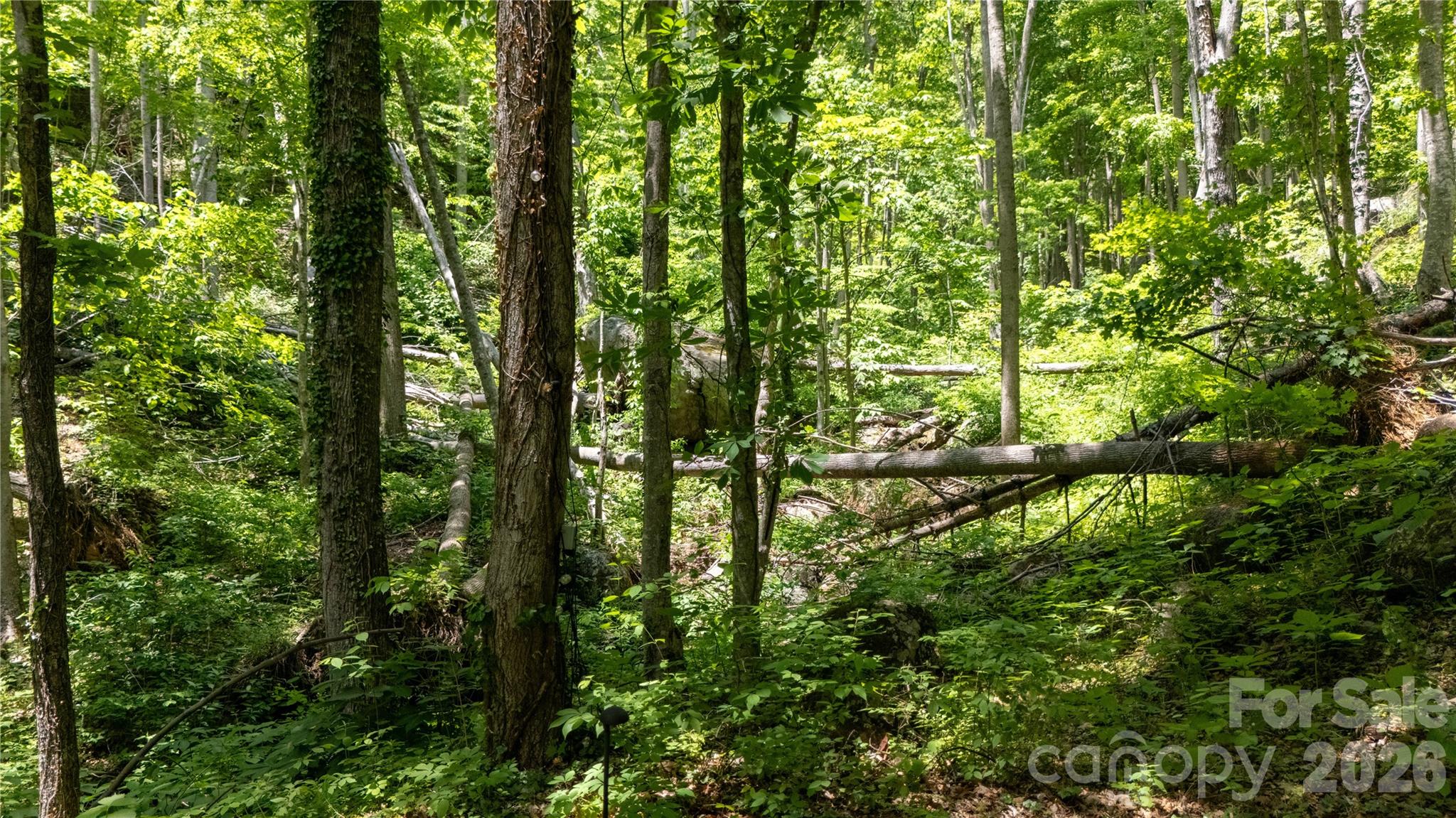 8 Westward Way Bakersville NC 28705